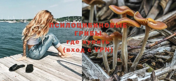не бодяженный Козельск