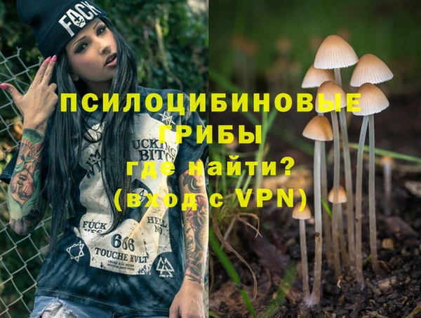 не бодяженный Козельск