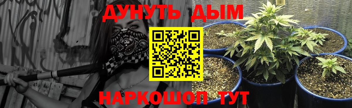 Конопля марихуана  Канабис THC 21%  Вход с VPN  Конопля AK-47  Нижний Новгород  Марихуана конопля 